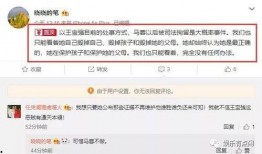 马蓉闺蜜爆料聊天记录视频,揭秘事件背后惊人内幕