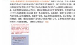 近期房产爆料最新消息,近期房产爆料揭秘，热点项目大盘点